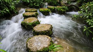 水上森林 荔波樟江 景点图 39_13