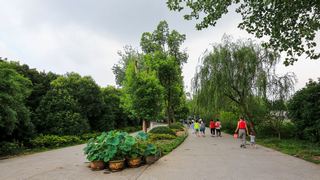 茱萸湾 景点图 391_3