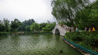 茱萸湾 景点图 391_7