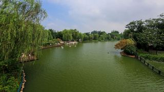茱萸湾 景点图 391_9