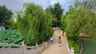 茱萸湾 景点图 391_10