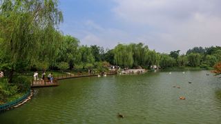茱萸湾 景点图 391_11