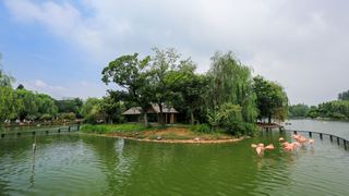 茱萸湾 景点图 391_14