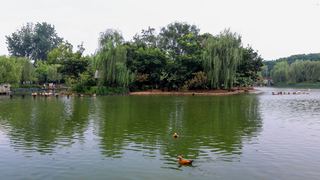 茱萸湾 景点图 391_16
