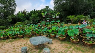 瘦西湖 景点图 392_18