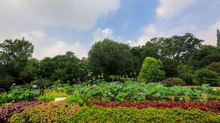 瘦西湖 景点图 392_20