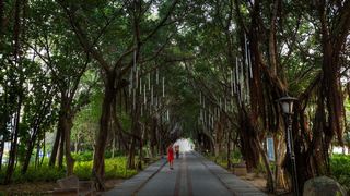 西湖公园 景点图 395_12