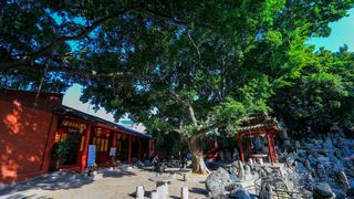 开元寺 景点图 397_13