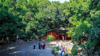 开元寺 景点图 397_15