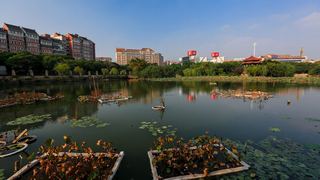 东湖公园 景点图 398_4