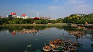 东湖公园 景点图 398_5