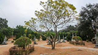 崇武古城 景点图 399_13