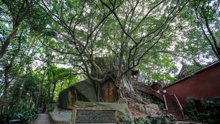 于山风景区 景点图 401_15