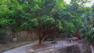 鼓山涌泉寺 景点图 405_14