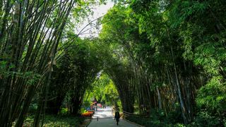 福州国家森林公园 景点图 407_5