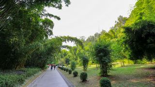 福州国家森林公园 景点图 407_7