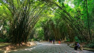 福州国家森林公园 景点图 407_9
