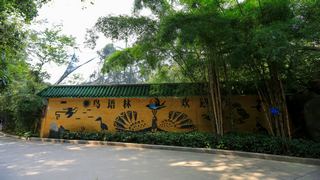 福州国家森林公园 景点图 407_11