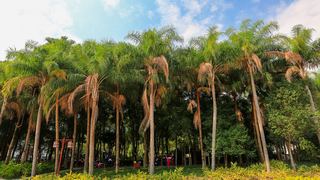 福州国家森林公园 景点图 407_16