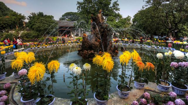 福州西湖公园菊花展