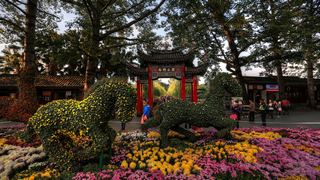 福州西湖公园菊花展 景点图 408_4