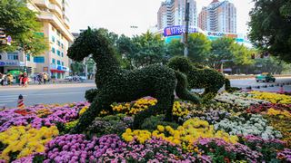 福州西湖公园菊花展 景点图 408_5