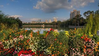 福州西湖公园菊花展 景点图 408_10