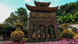 福州西湖公园菊花展 景点图 408_14