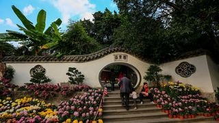 福州西湖公园菊花展 景点图 408_15