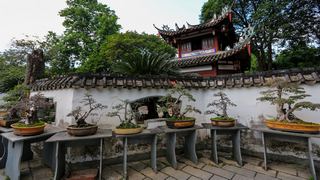 福州西湖公园菊花展 景点图 408_17