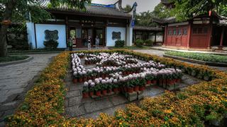 福州西湖公园菊花展 景点图 408_18