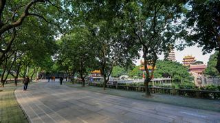 西禅寺 景点图 409_10
