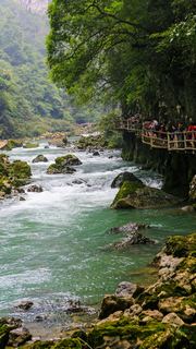 大七孔风景区 荔波樟江 景点图 41_10