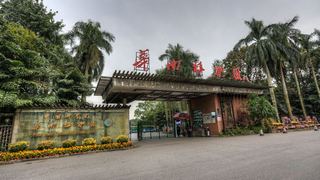华南国家植物园 景点图 418_2