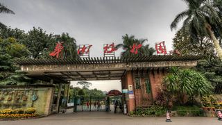 华南国家植物园 景点图 418_3