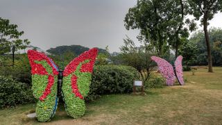 华南国家植物园 景点图 418_5