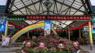 华南国家植物园 景点图 418_7