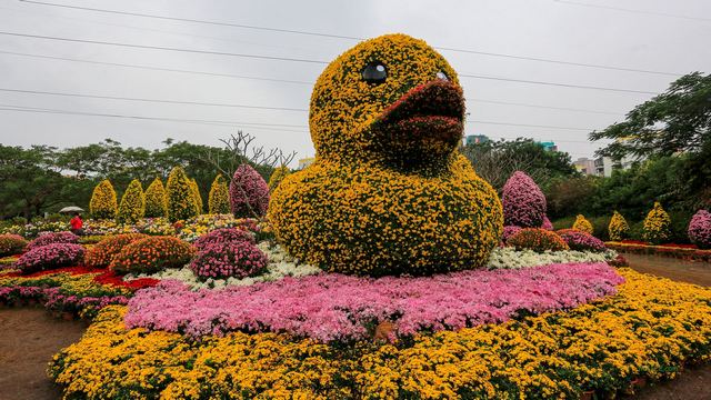深圳东湖公园第31届菊花展