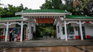 深圳东湖公园第31届菊花展 景点图 422_2