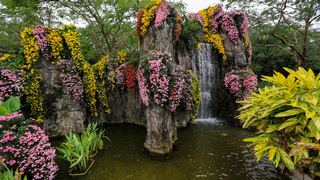 深圳东湖公园第31届菊花展 景点图 422_12