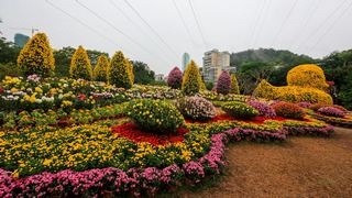 深圳东湖公园第31届菊花展 景点图 422_17