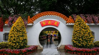 深圳东湖公园第31届菊花展 景点图 422_20