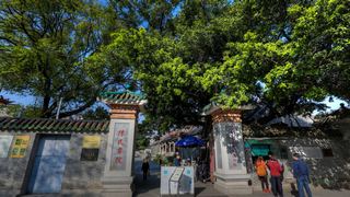 陈家祠堂（陈氏书院） 景点图 423_2