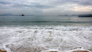 大梅沙海滨公园 景点图 426_11