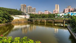 深圳国际园林花卉博览园 景点图 428_5
