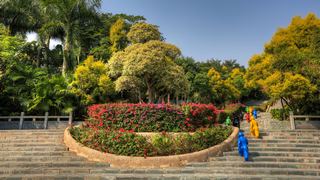 深圳国际园林花卉博览园 景点图 428_6