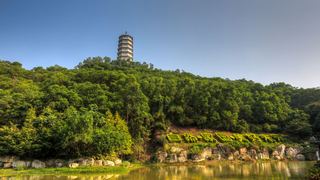 深圳国际园林花卉博览园 景点图 428_17