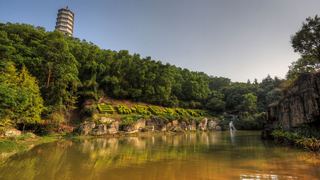 深圳国际园林花卉博览园 景点图 428_19