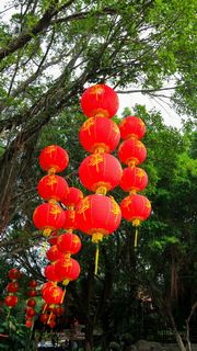 中国民俗文化村 景点图 433_5