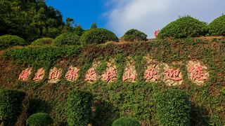 太姥山 景点图 434_17
